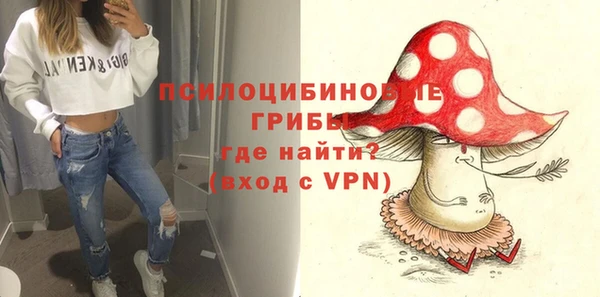 ГАЛЛЮЦИНОГЕННЫЕ ГРИБЫ Покачи