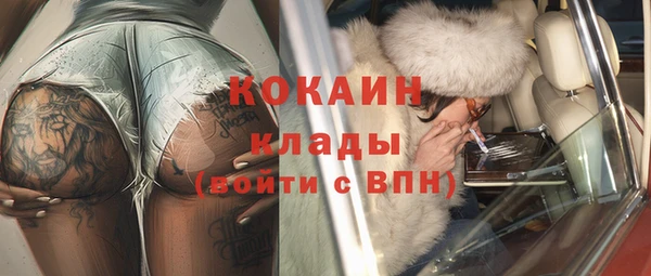 твердый Киров