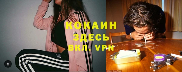 дживик Балашиха